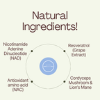 NAD+ Rejuvenating Patches